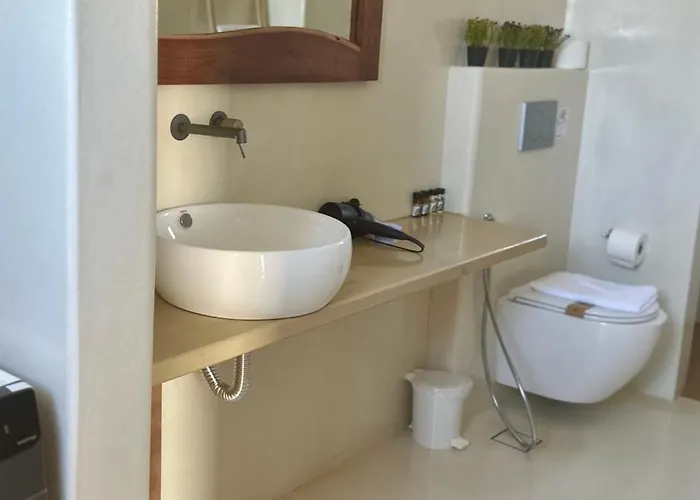 Gospodarstwo wiejskie Adyton Mykonos Luxury Suites&pools